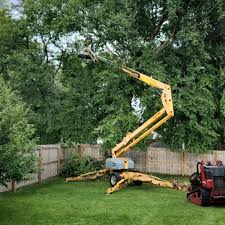 Best Tree and Shrub Care  in Reedsville, WI