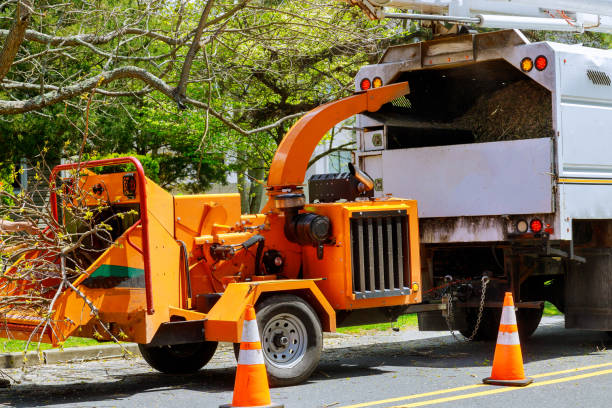 Mulching Services in Reedsville, WI